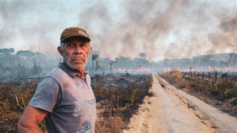 Amazon Deforestation in Brazil Rose Sharply on Bolsonaro’s Watch - The ...