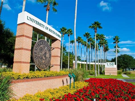 See How The University Of South Florida Ranks Nationally | Tampa, FL Patch