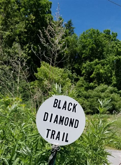 Black Diamond Trail – (state #39) – Biking 100