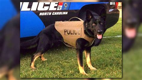 PHOTOS: Local police K9 receive protective vests | wcnc.com