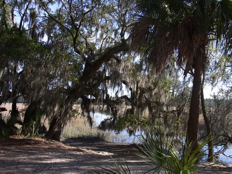 Savannah - Wormsloe Plantation - Singular Scene