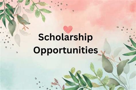 7 Vital Scholarship Opportunities You Can't Miss - Paragraph Bd