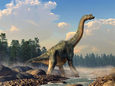 Largest dinosaur skeleton in Europe discovered in Portugal - Earth.com