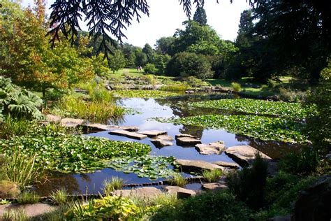 "University Botanic Gardens, Cambridge" by Mac Mcfarlane at ...