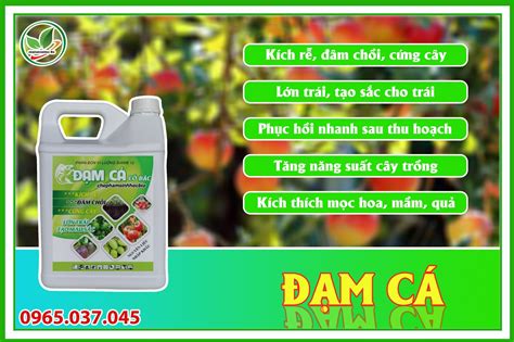 Phân đạm cá cô đặc Bio - Phân hữu cơ sinh học 1l 5l 20l