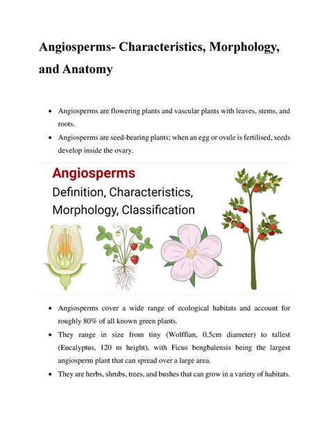 Angiosperms Characteristics, Morphology, and Anatomy - Angiosperms- Characteristics, Morphology ...