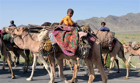 A wandering life: Afghan nomads make Balochistan home - Multimedia ...