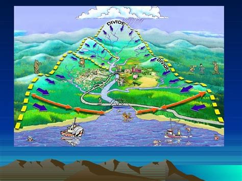 Drainage basin hydrological cycle smy