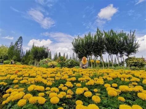 Taman Saujana Hijau: A Sprawling Park With Flower Fields In Putrajaya