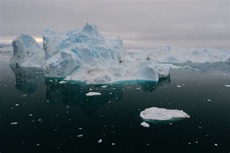 How Antarctic krill fertilize the oceans and even store carbon