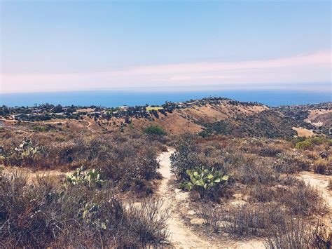 crystal cove hiking trails dogs - Brigette Ratcliff