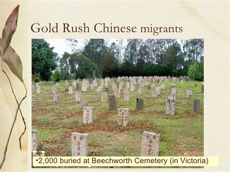 Gold Rush Australia Chinese Miners