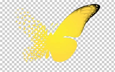 Butterfly Effect A Sound Of Thunder Chaos Theory Causality PNG, Clipart, Brush Footed Butterfly ...