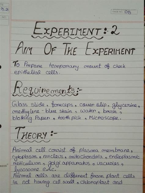 Biology Experiment 2 | PDF | Cell Biology | Cell Anatomy