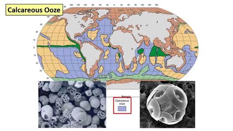 13 - Deep sea sediments - YouTube