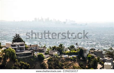 Hollywood Hills Houses View Stock Photo 1196316517 | Shutterstock