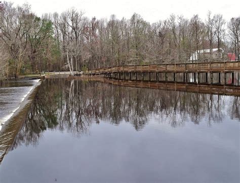 LAKE WACCAMAW STATE PARK (North Carolina) - 2023 What to Know BEFORE You Go