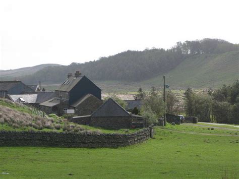 Top 10 Unknown Facts about Gibbs Farm, New Zealand - Discover Walks Blog