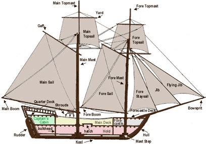 diagram of pirate ship | Sailing ships, Sailing, Pirates