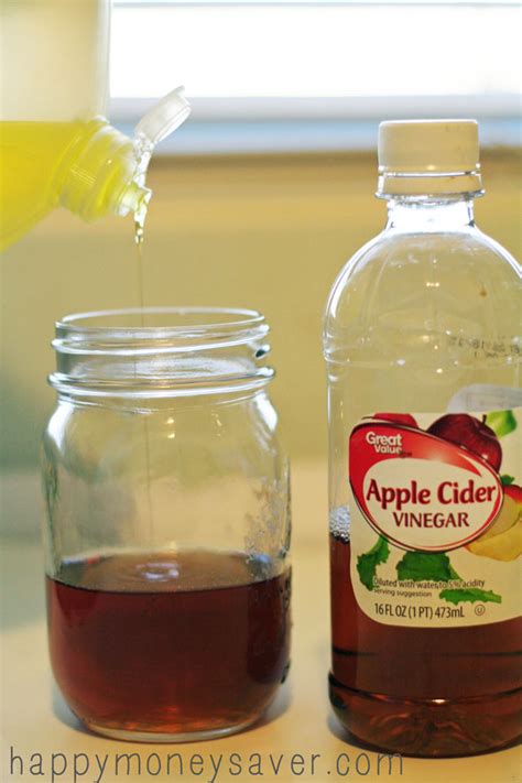 The Best Fruit Fly Trap using Vinegar and Dish Soap {They Must Die!}