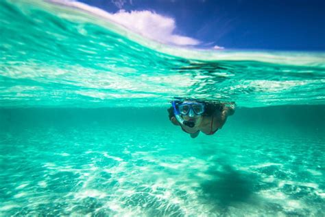 Snorkeling in Playa del Carmen | Best Places | Cancun Snorkeling