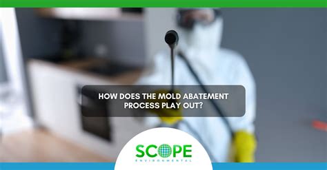 How Does the Mold Abatement Process Play Out? - Scope Clean - Scope ...