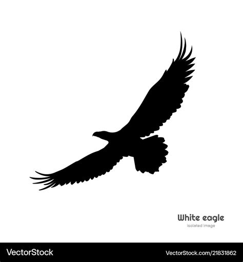 Black silhouette of white eagle isolated drawing Vector Image