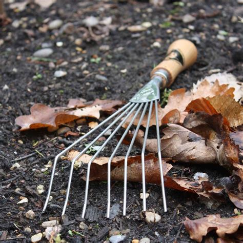 Hand Leaf Rake at Garden Equipment