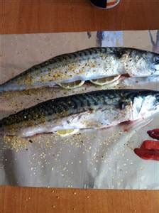 Calories in Mackerel and Nutrition Facts