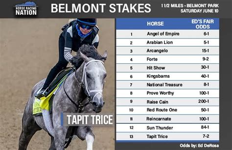 Belmont Stakes 2023 Horses