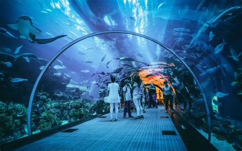 Burj Khalifa: 124th & 125th Floor & Dubai Aquarium Ticket - Instant Confirmation!