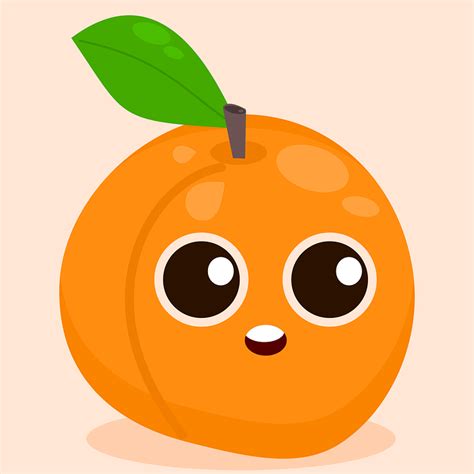 Download Apricot, Fruit, Food. Royalty-Free Vector Graphic - Pixabay