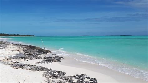 Coco Plum Beach (Great Exuma) - 2020 What to Know Before You Go (with ...