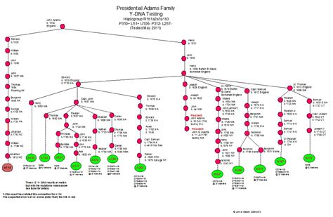 president john adams family tree - Blake Marble