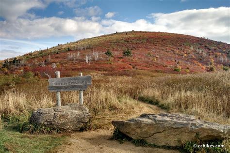 Hiking the Art Loeb Trail in Pisgah National Forest