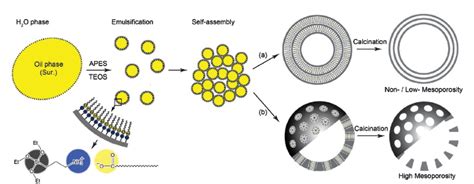 [PDF] Synthesis of mesoporous silica nanoparticles. | Semantic Scholar