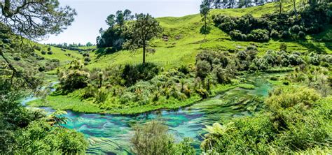 University of Waikato | UCEAP