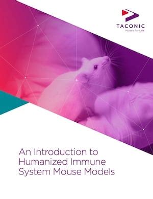 White Paper: An Introduction to Humanized Immune System Mouse Models