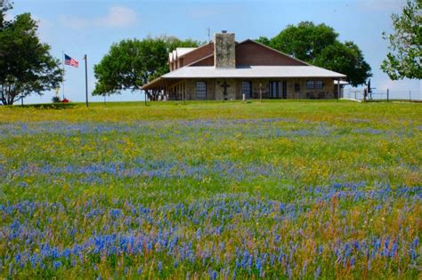 Texas Wildflowers | Inside NanaBread's Head