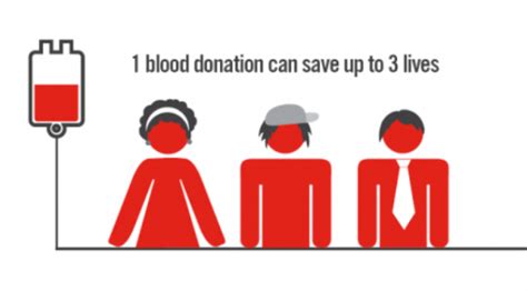 10 Blood Donation Facts