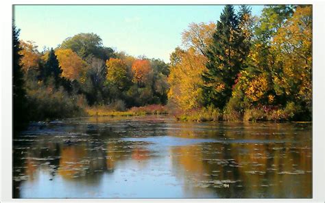 This picture was taken in Erin, Ontario during a lovely walk down by the water.