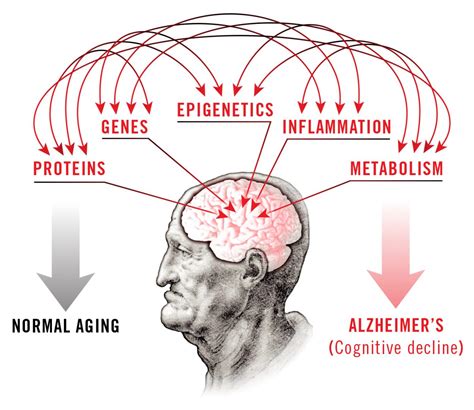 Salk awarded $19.2 million by the American Heart Association-Allen ...