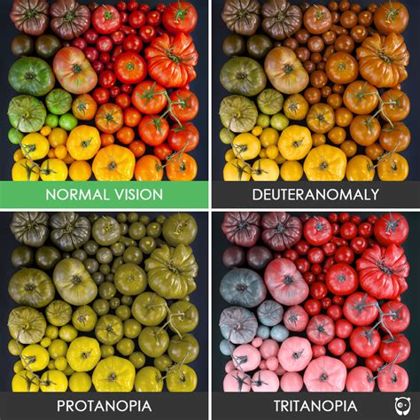 Midtown Optometry - Different Types of Color Blindness and ...