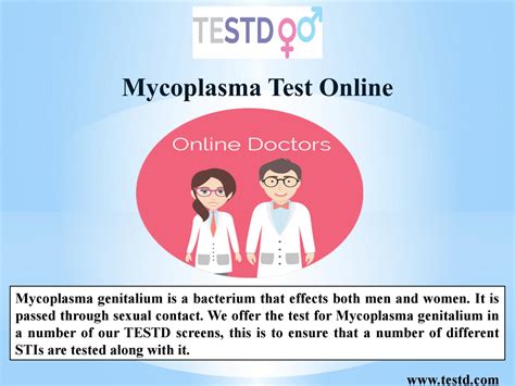 Mycoplasma Test Online by TESTD™ - Issuu