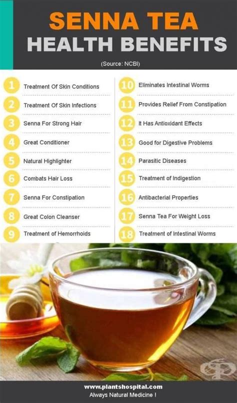 7 Wonderful Health Benefits Of Senna Tea & Side Effects, Uses, Warnings ...