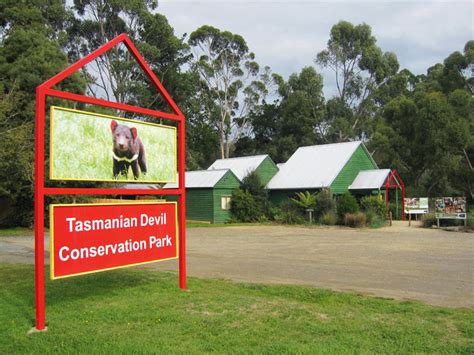 Tasmanian Devil Conservation Park Review - Australian Traveller