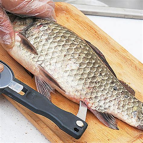 Fish Scaler Fish Cleaning Tool Removing Fish Scale – Modern Kitchen Maker