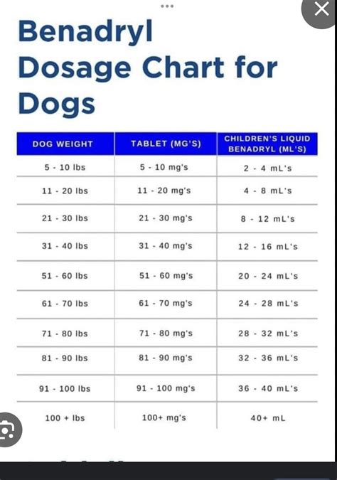 Benadryl Dosage Chart for Dogs : r/DobermanPinscher