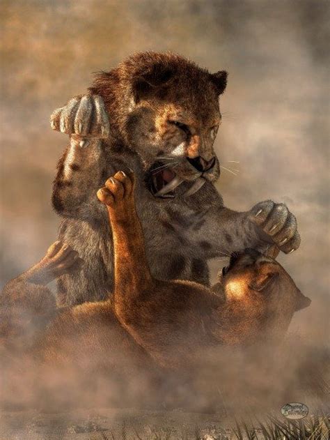 Prehistoric Cat Fight | Smilodon, Extinct animals, Prehistoric animals