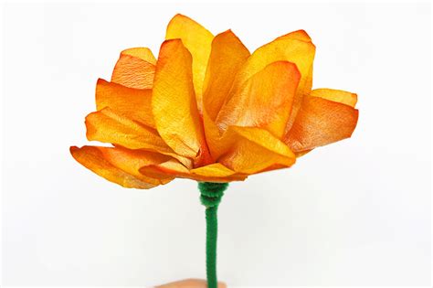 How To Make Coffee Filter Flowers With Food Coloring - Coffee Signatures